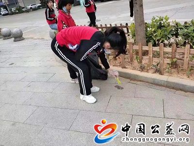 垃圾,不,落地,常平,更,美丽,《,中国公益网,》, . 垃圾不落地 常平更美丽