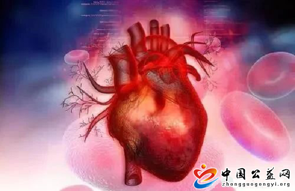 阳光,救援,坚守,温暖,的,应,急人,公益,网, . 阳光救援 坚守温暖的应急人
