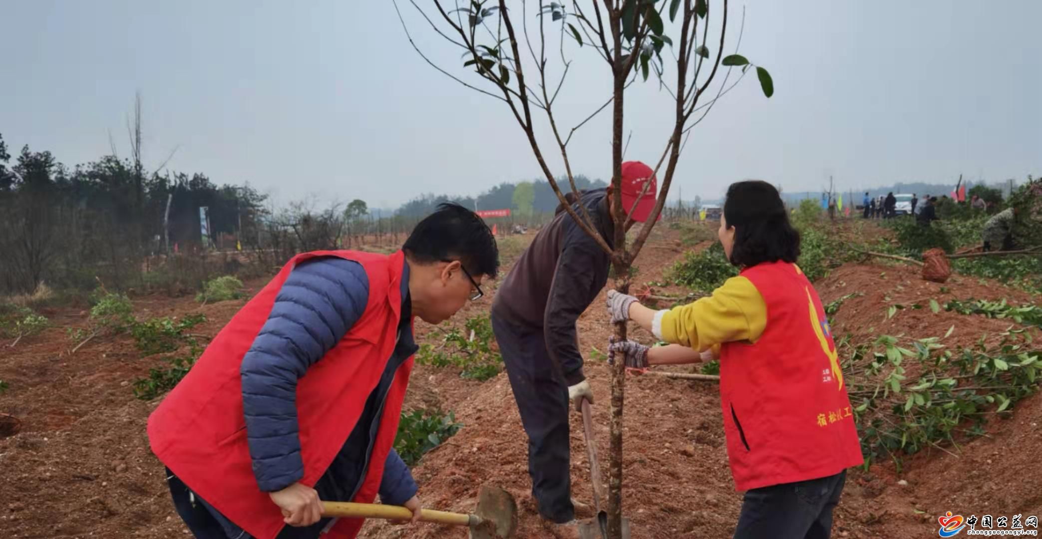 全民,义务植树,共建,绿色家园,中国,公益,网, . 全民义务植树 共建绿色家园