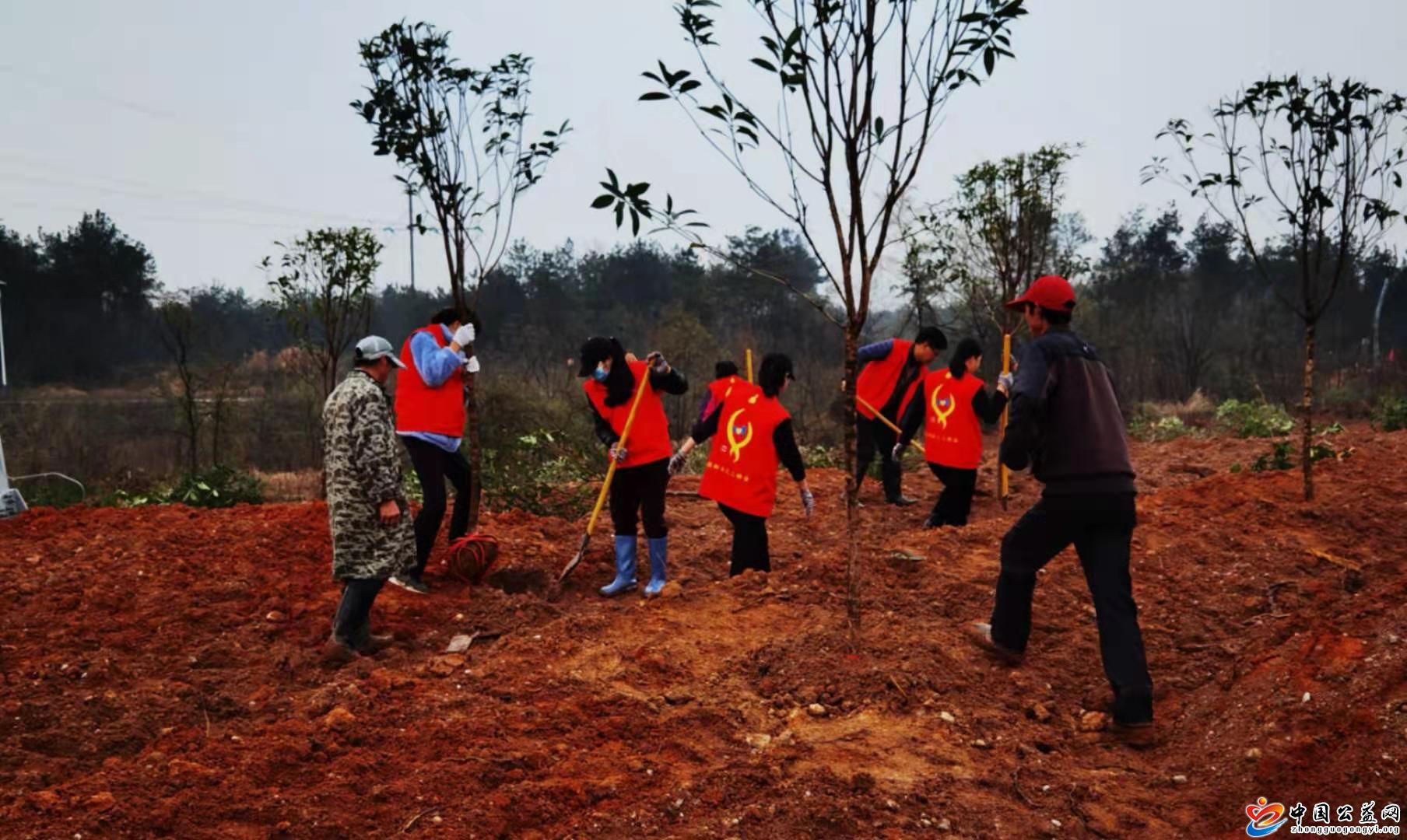 全民,义务植树,共建,绿色家园,中国,公益,网, . 全民义务植树 共建绿色家园
