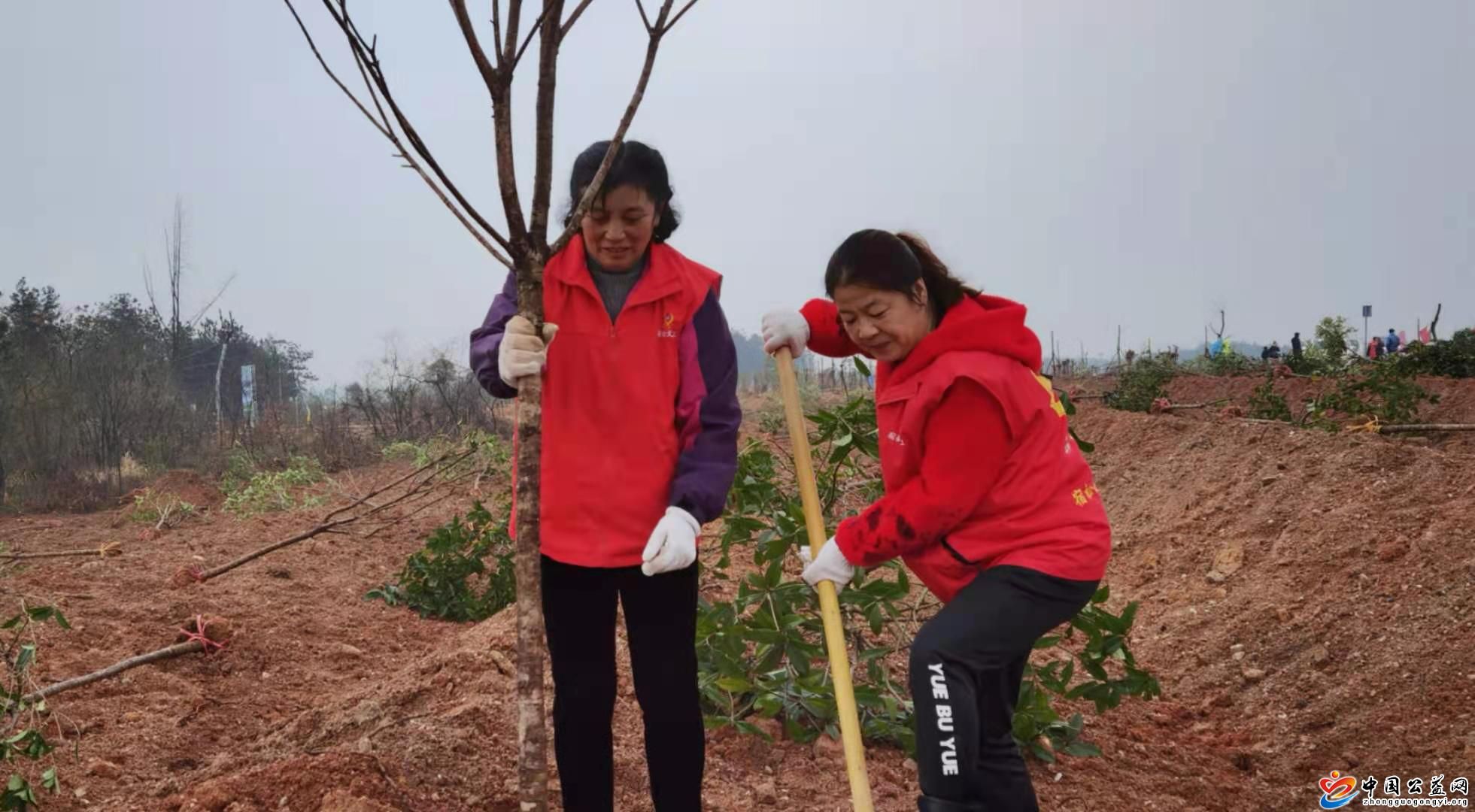 全民,义务植树,共建,绿色家园,中国,公益,网, . 全民义务植树 共建绿色家园