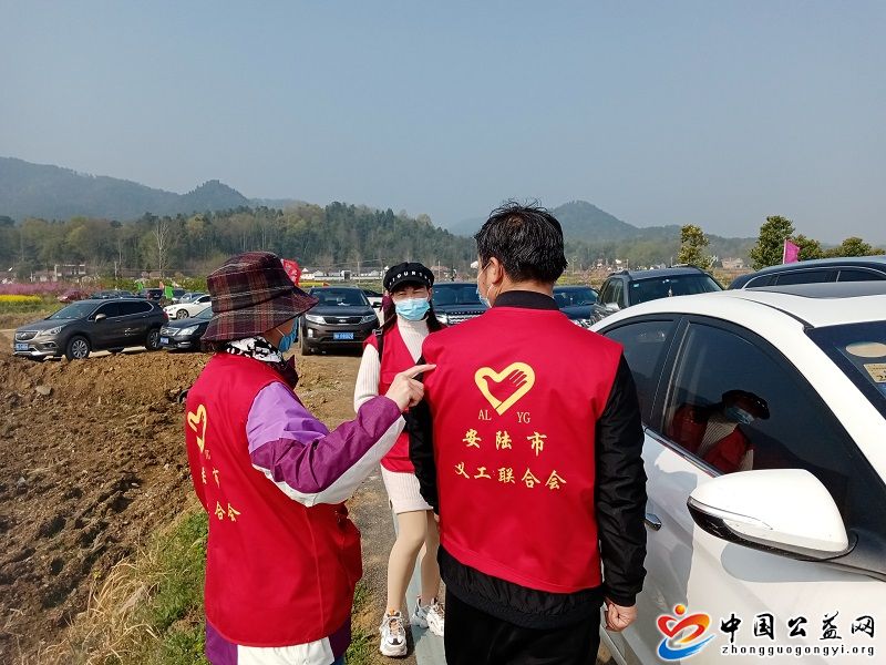 市,义,工联,为,烽烟,古镇,桃花,节,助力,中国, . 市义工联为烽烟古镇桃花节助力
