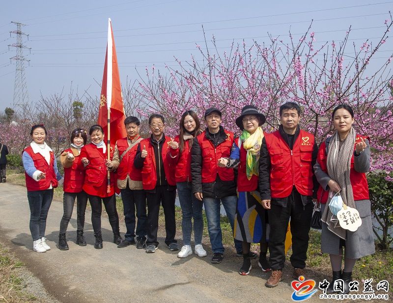 市,义,工联,为,烽烟,古镇,桃花,节,助力,中国, . 市义工联为烽烟古镇桃花节助力