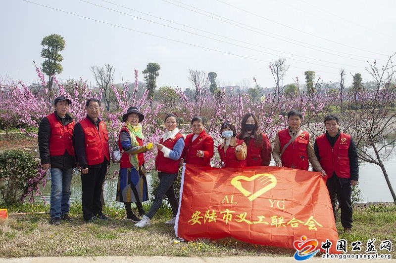 市,义,工联,为,烽烟,古镇,桃花,节,助力,中国, . 市义工联为烽烟古镇桃花节助力