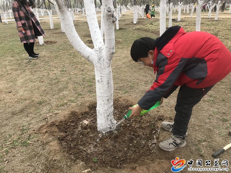认养,一,棵树,守护,一片,绿,中国,公益,网, . 认养一棵树 守护一片绿