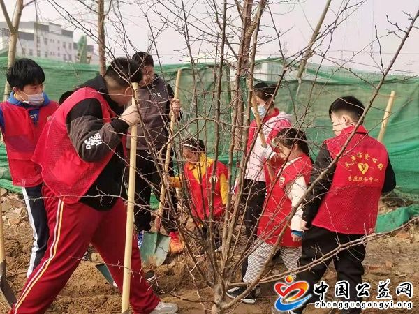 学雷锋,做,奉献,―,植树造林,《,中国公益网, . 学雷锋做奉献――植树造林