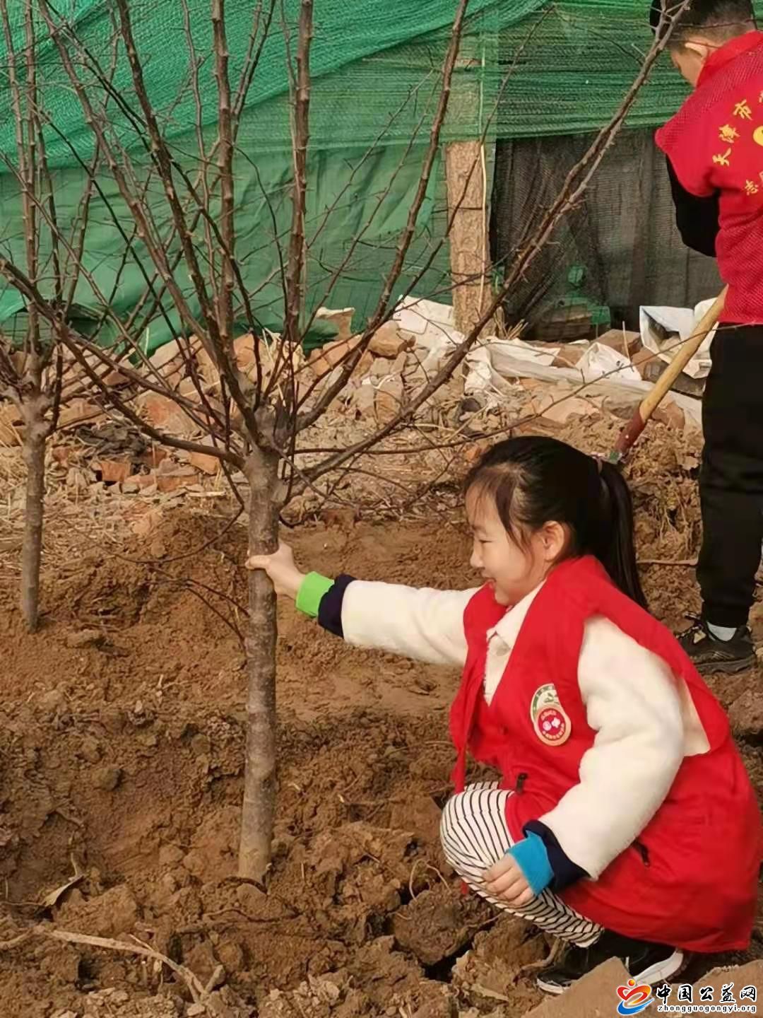 学雷锋,做,奉献,―,植树造林,《,中国公益网, . 学雷锋做奉献――植树造林