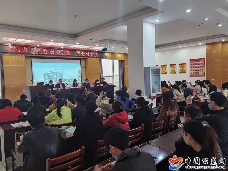 安陆市,心理咨询,协会,第一届,会员,大会, . 安陆市心理咨询协会第一届会员大会正式成立