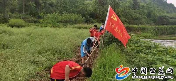 田间,地头,的,青年,志愿者,《, 中国 公益网 , . 田间地头的青年志愿者
